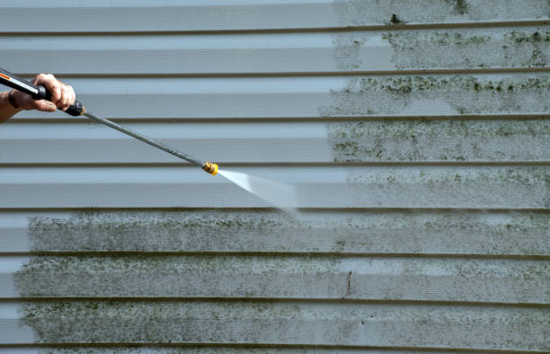 Best Factory Floor Cleaning  in Norris City, IL